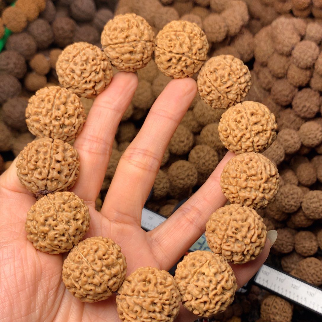 木7瓣爆肉卡25尺寸，58号