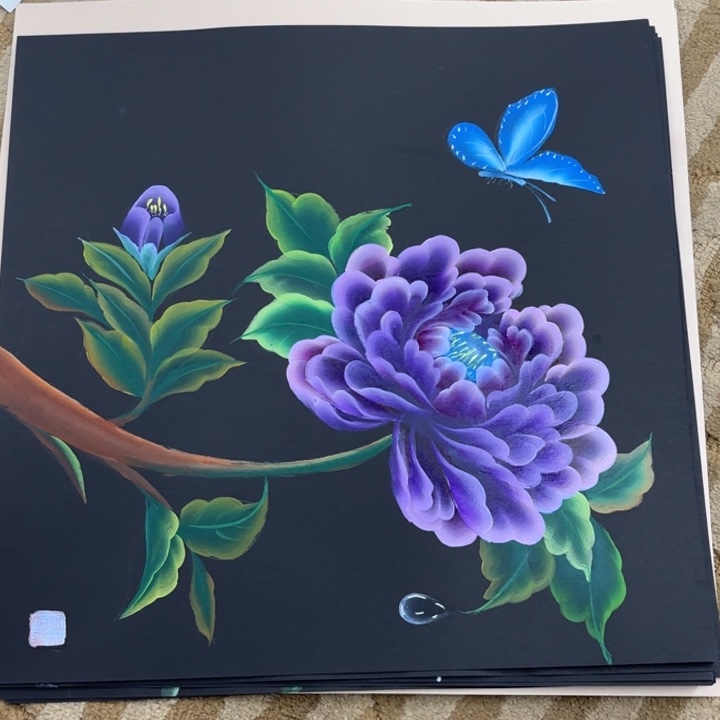 国画花鸟等多种鸟类和鸟类的栖息区等