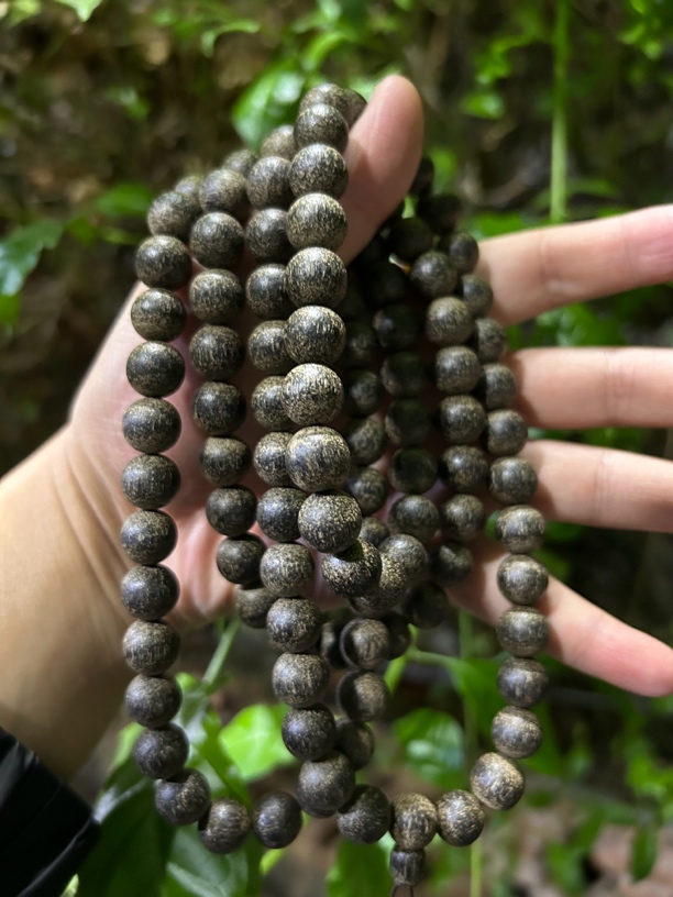 【土特产菇146】净含量75g