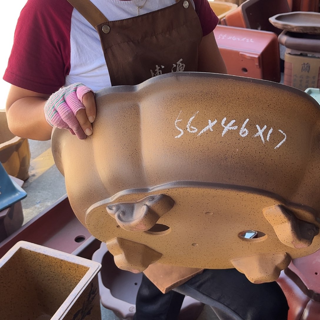 紫砂花盆盆景艺术