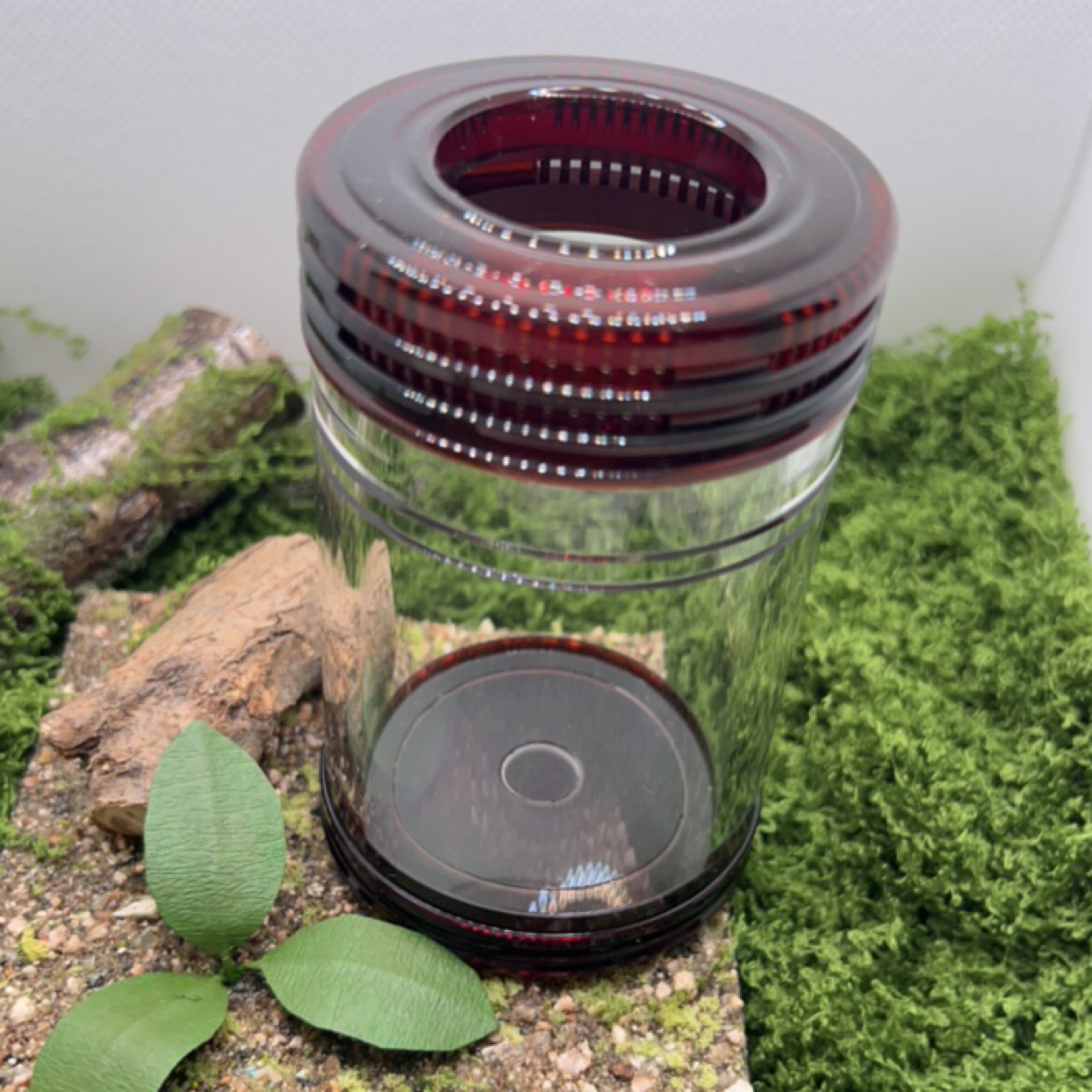 玩物甄选 天津谭60钢窗独眼蝈蝈罐（酒红色）配簧配布套本叫罐虫具