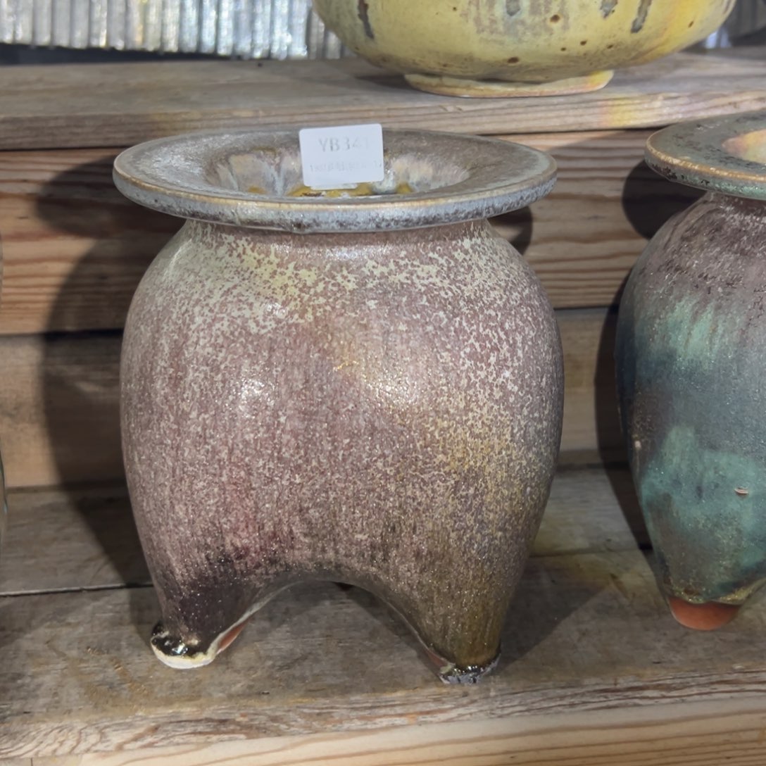 晓***念1987植物花盆YB341