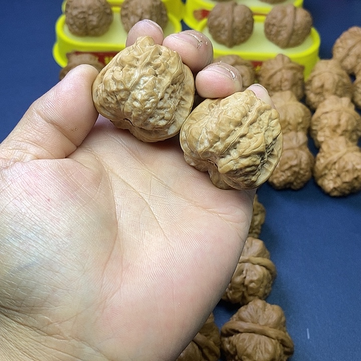 文玩核桃把件白蛤码