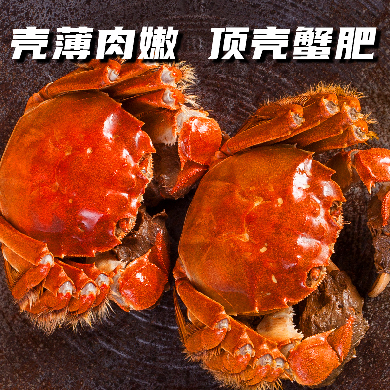 【活蟹】江苏大闸蟹公蟹6.0-5.7两+母蟹4.0-3.7两 礼盒装活蟹现发 顺丰/京东发货 买4对送1对共10只 T1