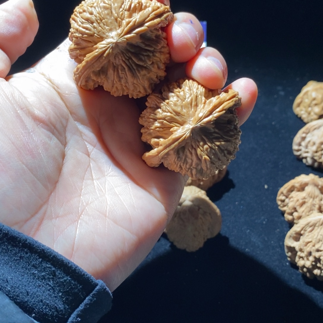 文玩核桃吊坠白狮子
