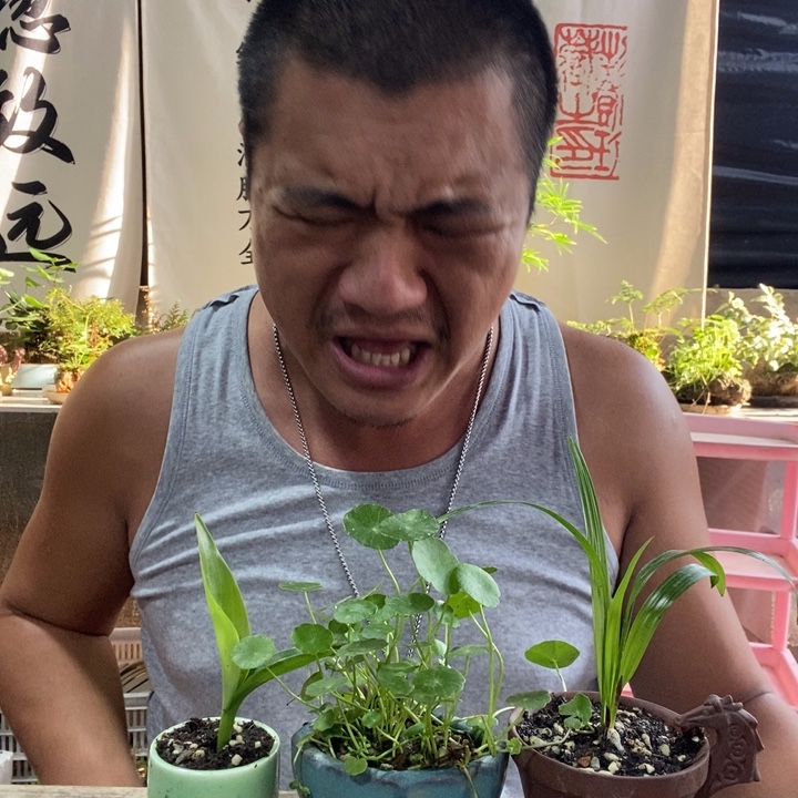 无花朵退款拉黑拉黑68