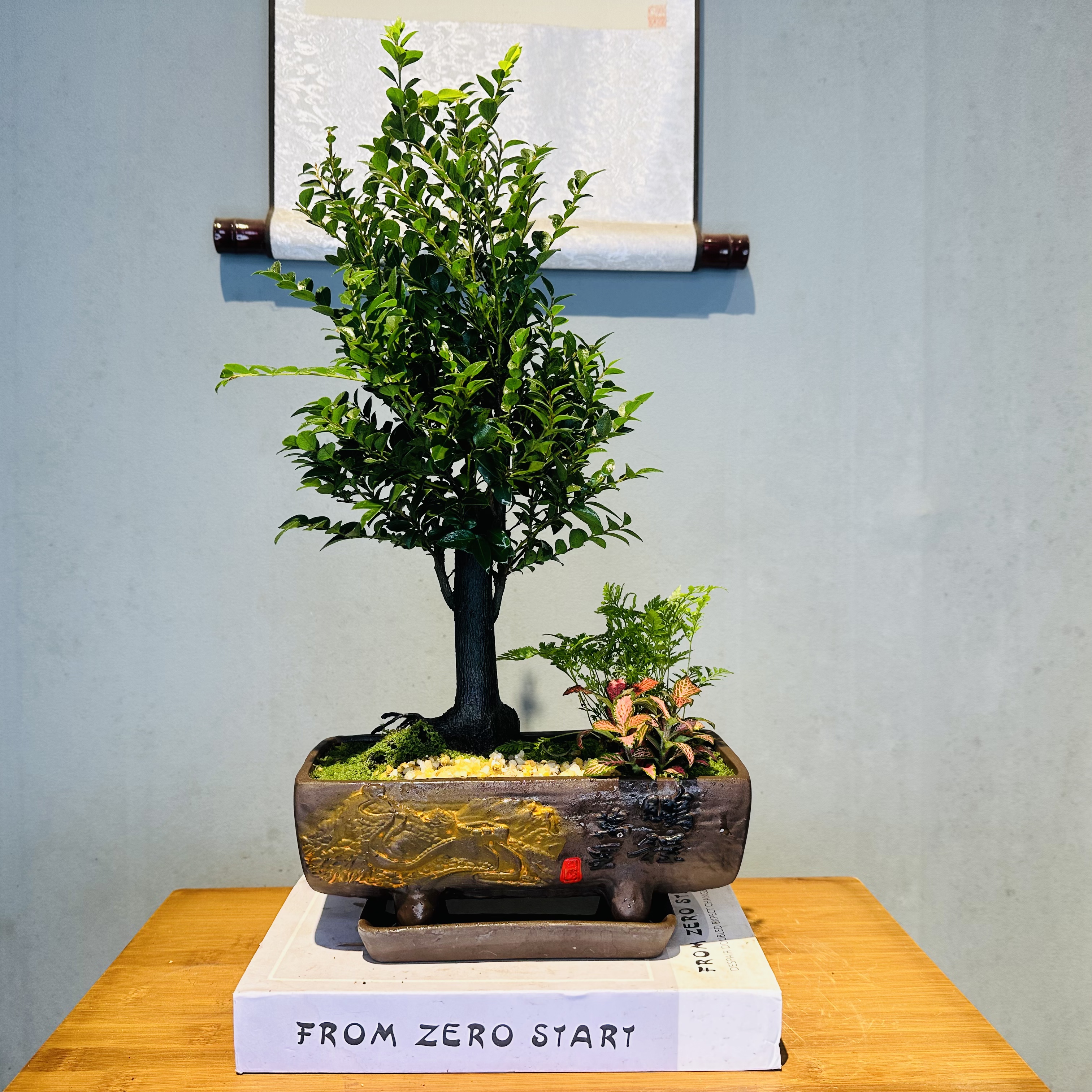 大老桩单杆小叶紫檀黑骨茶+鹏程万里紫砂盆+紫砂底碟