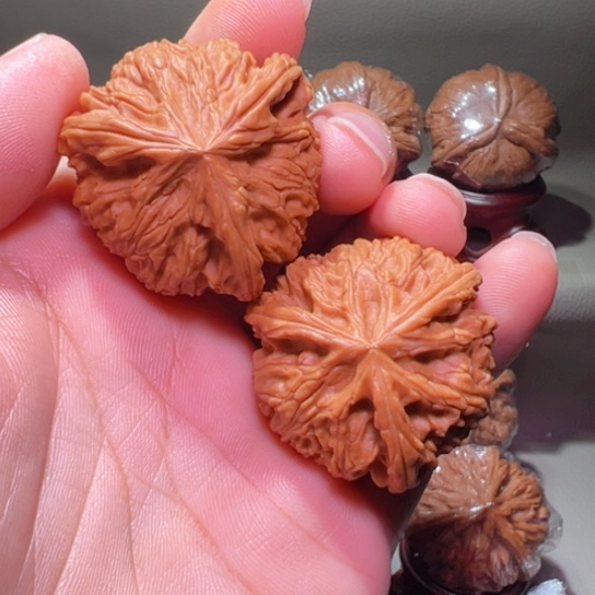 把件文玩核桃顶级球奔120开角文山御龙筋