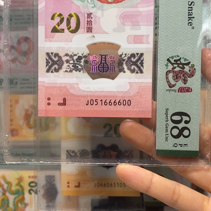蛇钞金马 狮子号 