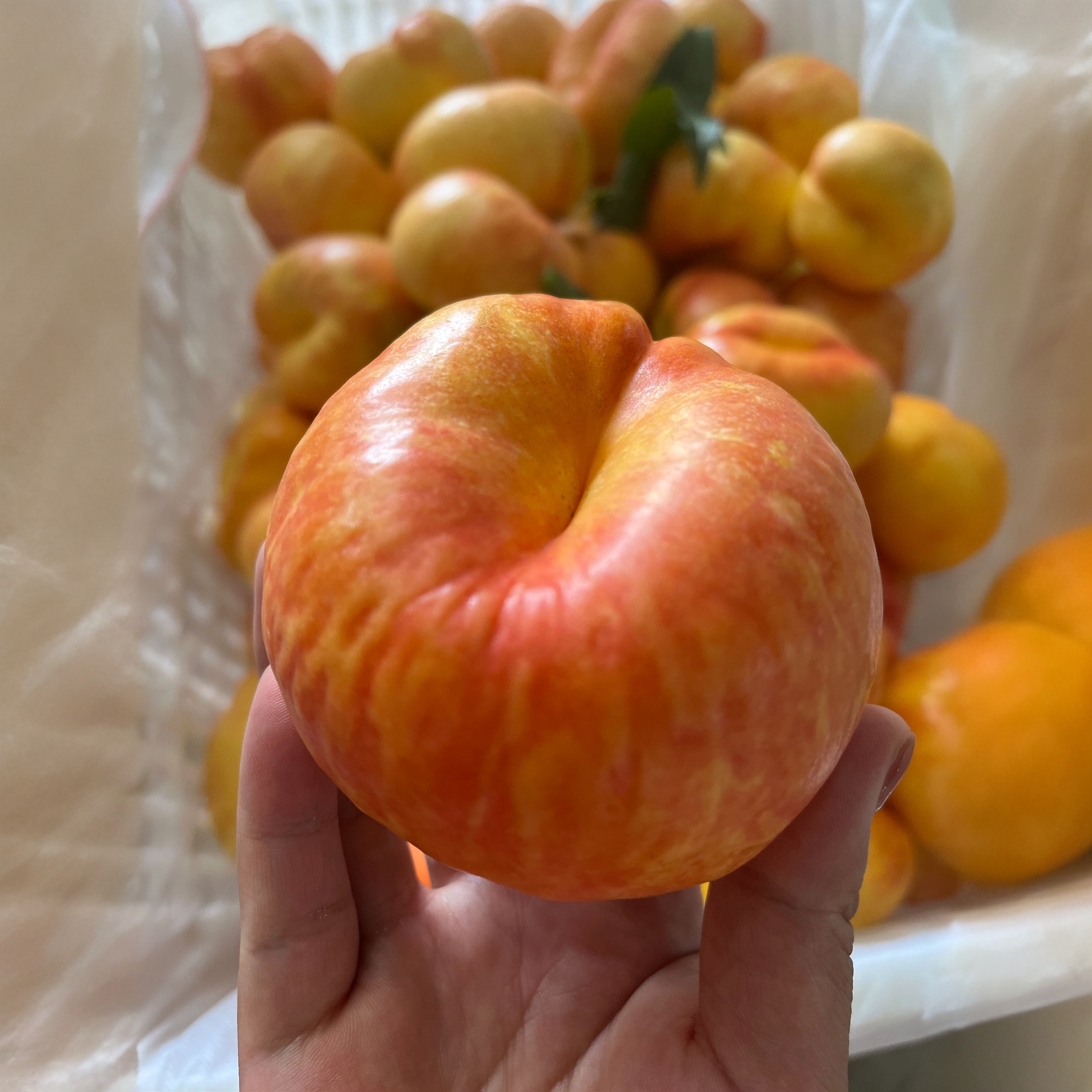 蒙阴蜜桃油蟠7大果肉厚核下硬吃脆甜软吃软糯爆汁新鲜现摘