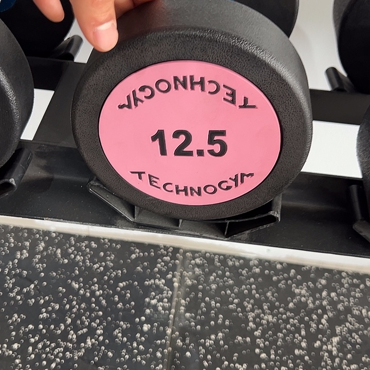 全新纯钢泰诺12.5公斤哑铃一对粉色