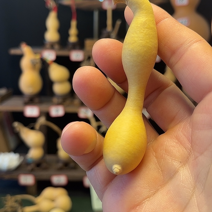 笑**尘考虑兔兔图图呜呜呜