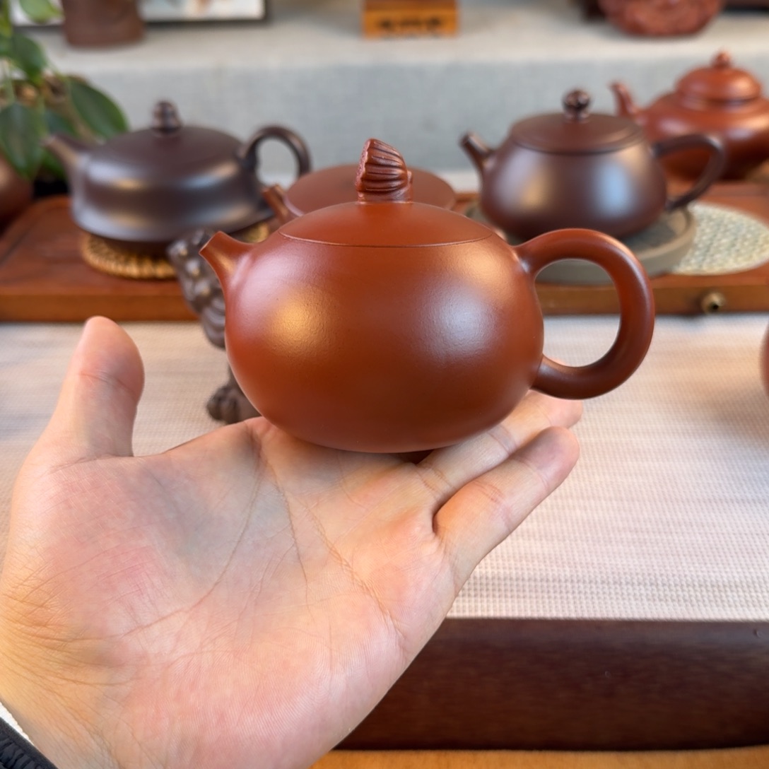 茶壶紫砂紫砂紫砂紫砂紫砂鸿运