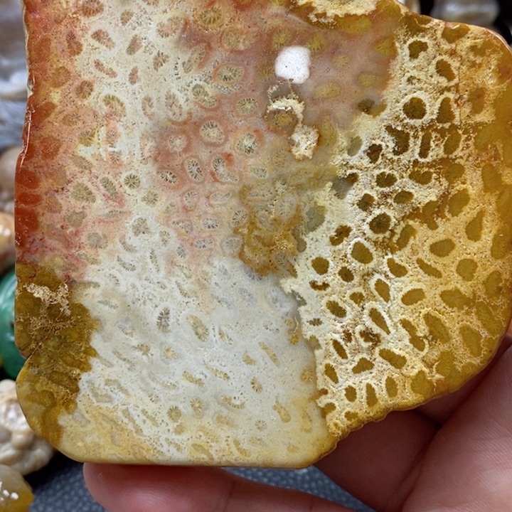 石英质玉颈饰未镶嵌