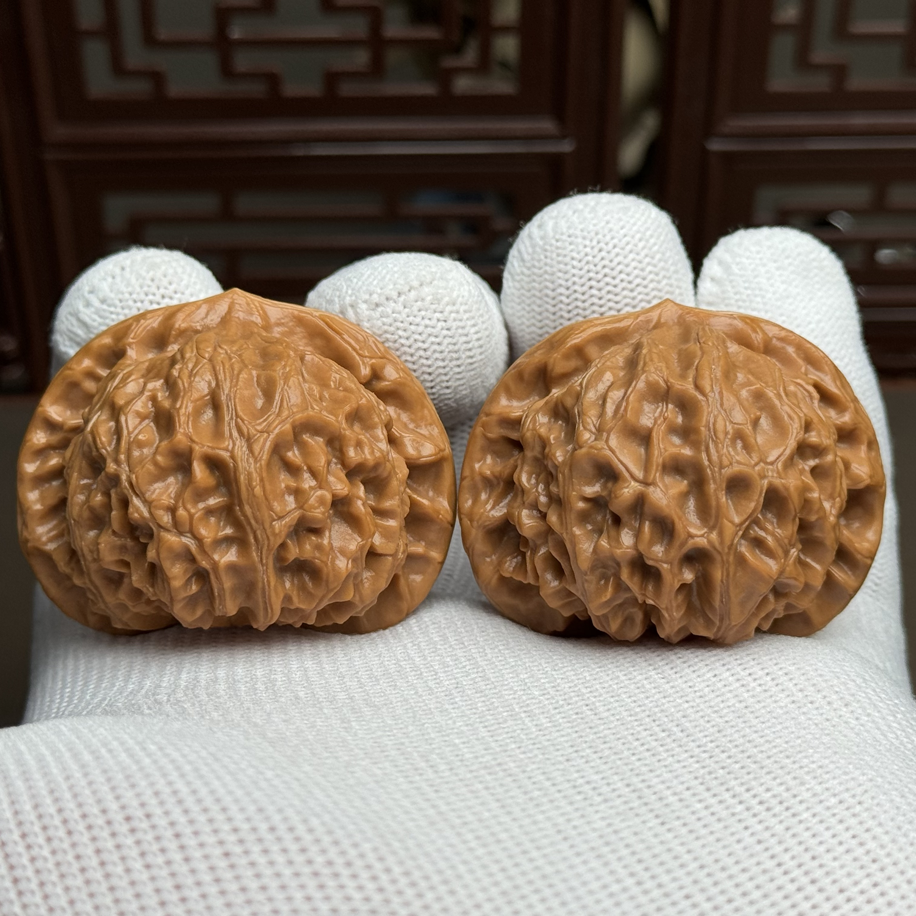 精选宫灯狮子头，边43肚40高35，桩形圆润饱满手感好克重足一物一图