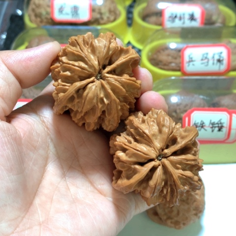 文玩核桃吊坠成****活野生