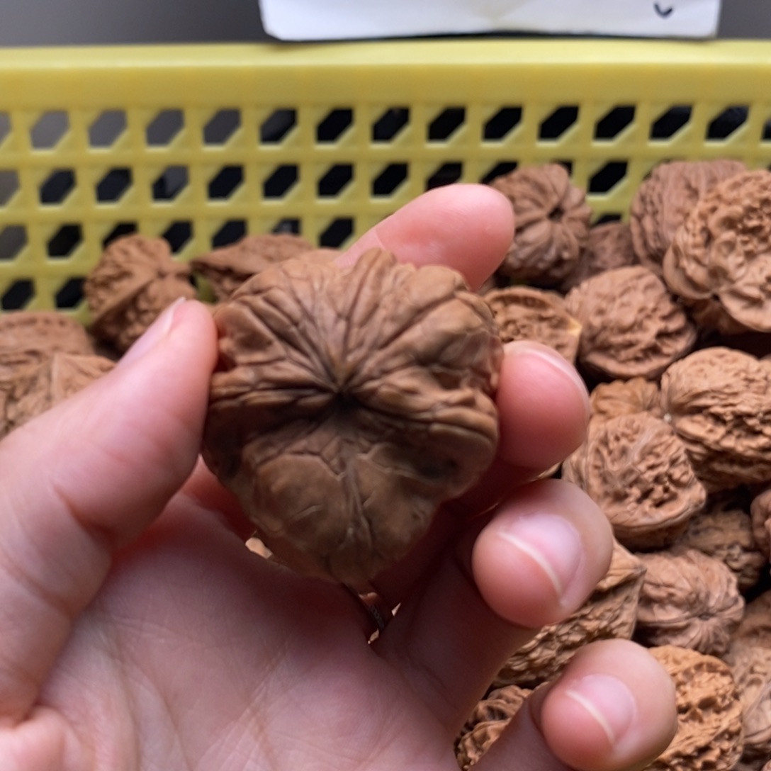 墨***玩核桃定制商品不退不换