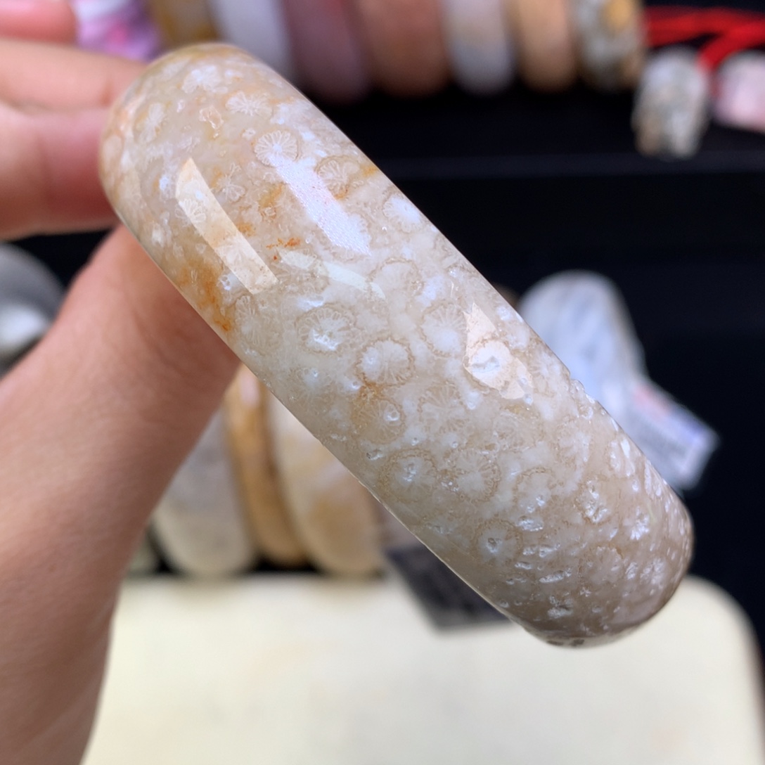 硅化珊瑚（珊瑚玉）未镶嵌吊坠(赠链)（12号）手镯59.2圈