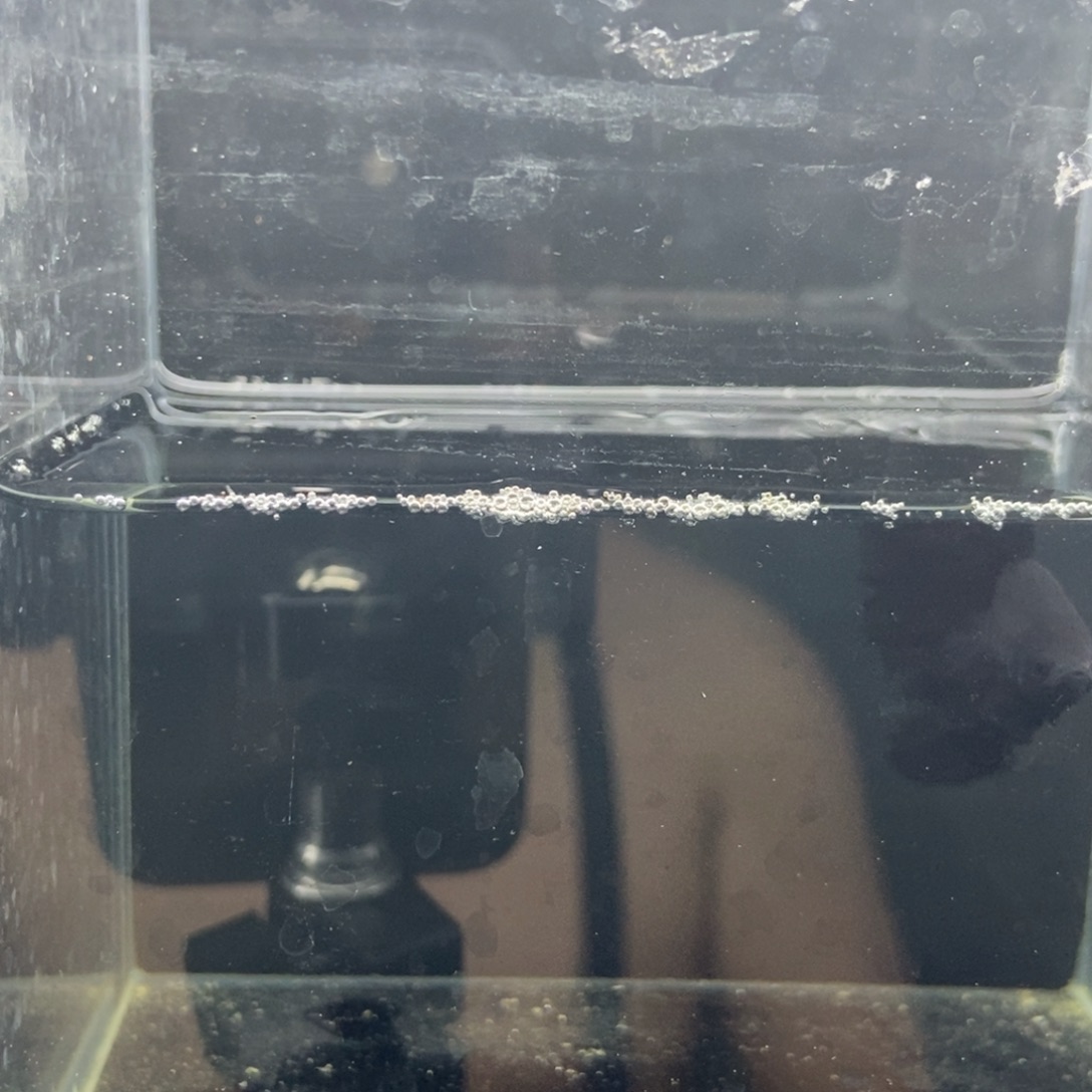 斗鱼包活不包损所见即所得108