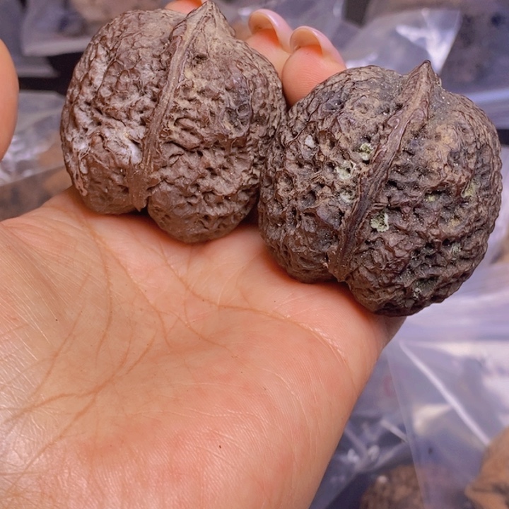 把件文玩核桃Y25-43mm