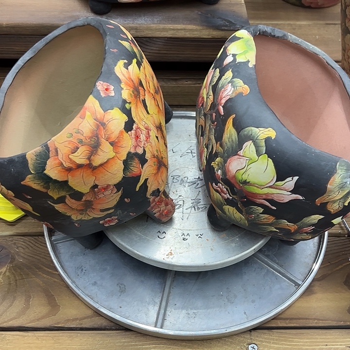 向阳花盆二个月后