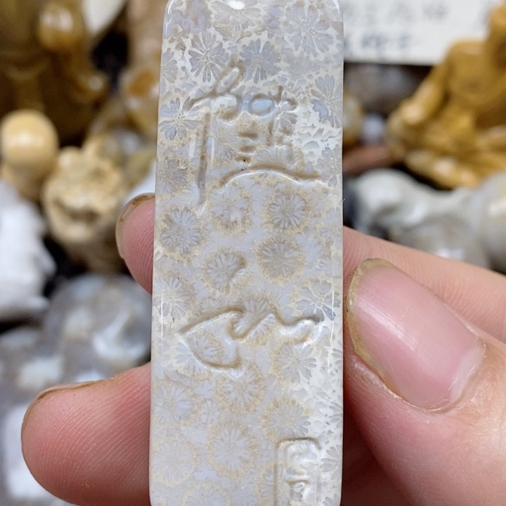 颈饰未镶嵌硅化珊瑚（珊瑚玉）有瑕