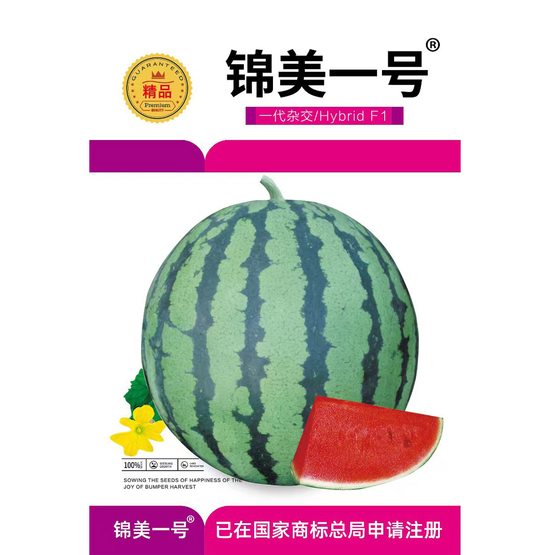 锦美一号西瓜种子，早熟瓤红高糖西瓜种子，西瓜种子1000粒/包