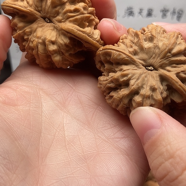 好***梦大大大大官帽磕尖黄差色差