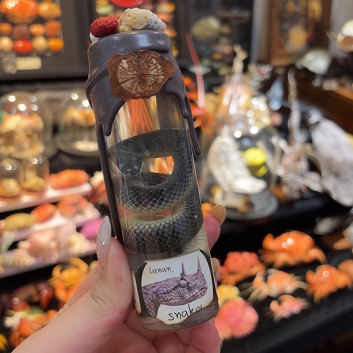 真实小蛇瓶装标本