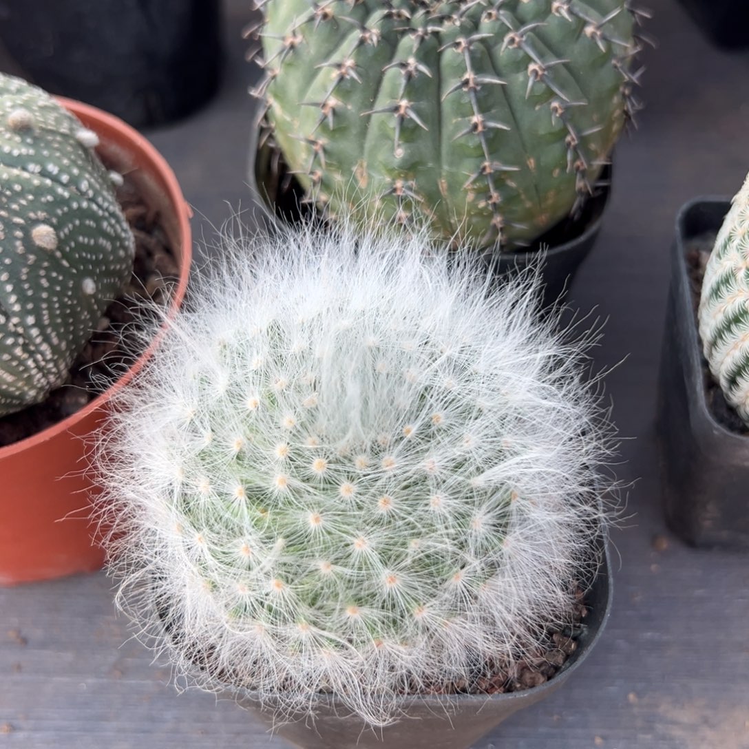 无***~零零落落 零零落落