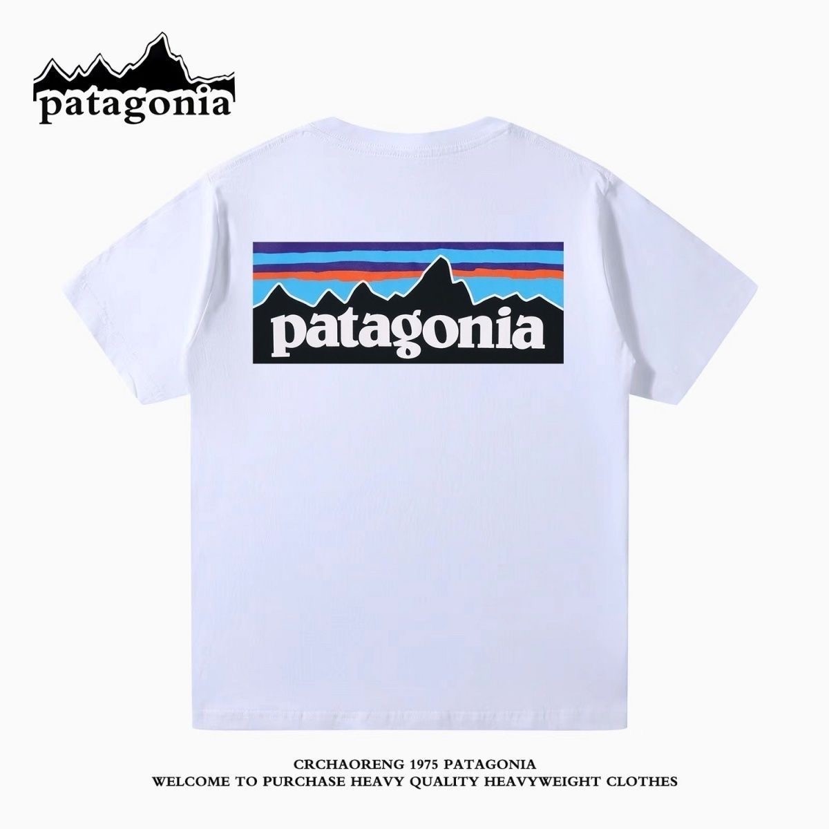 巴塔哥尼亚爆款经典P6男款夏季短袖运动宽松复古圆领恤