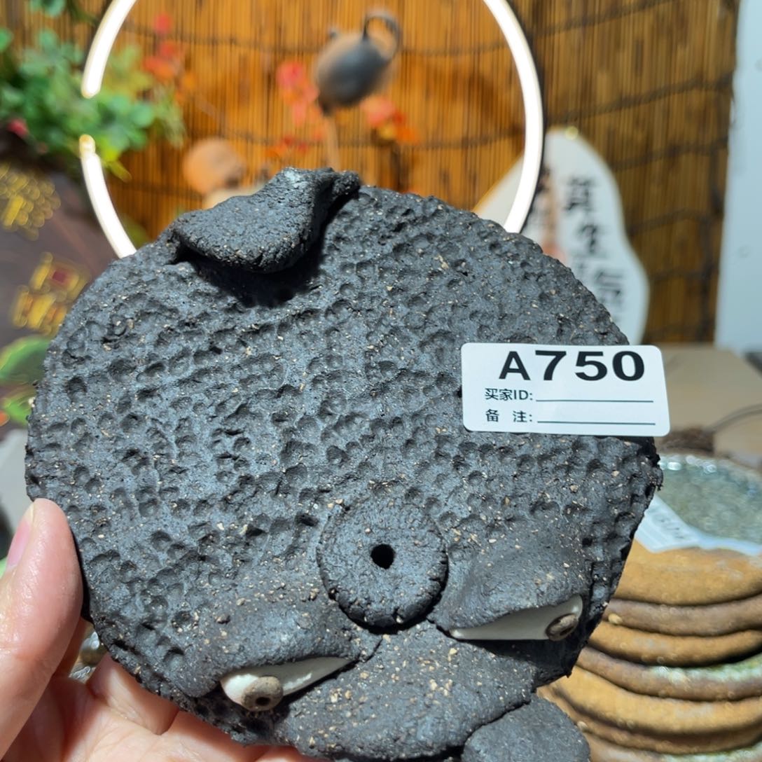 木村信鸿柴烧宝瓶