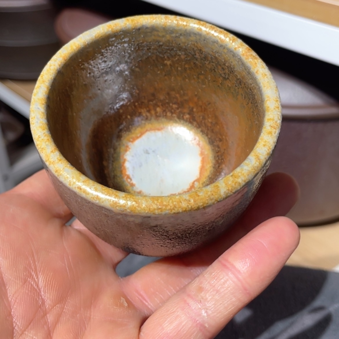 【闪购商品】陶路*乙