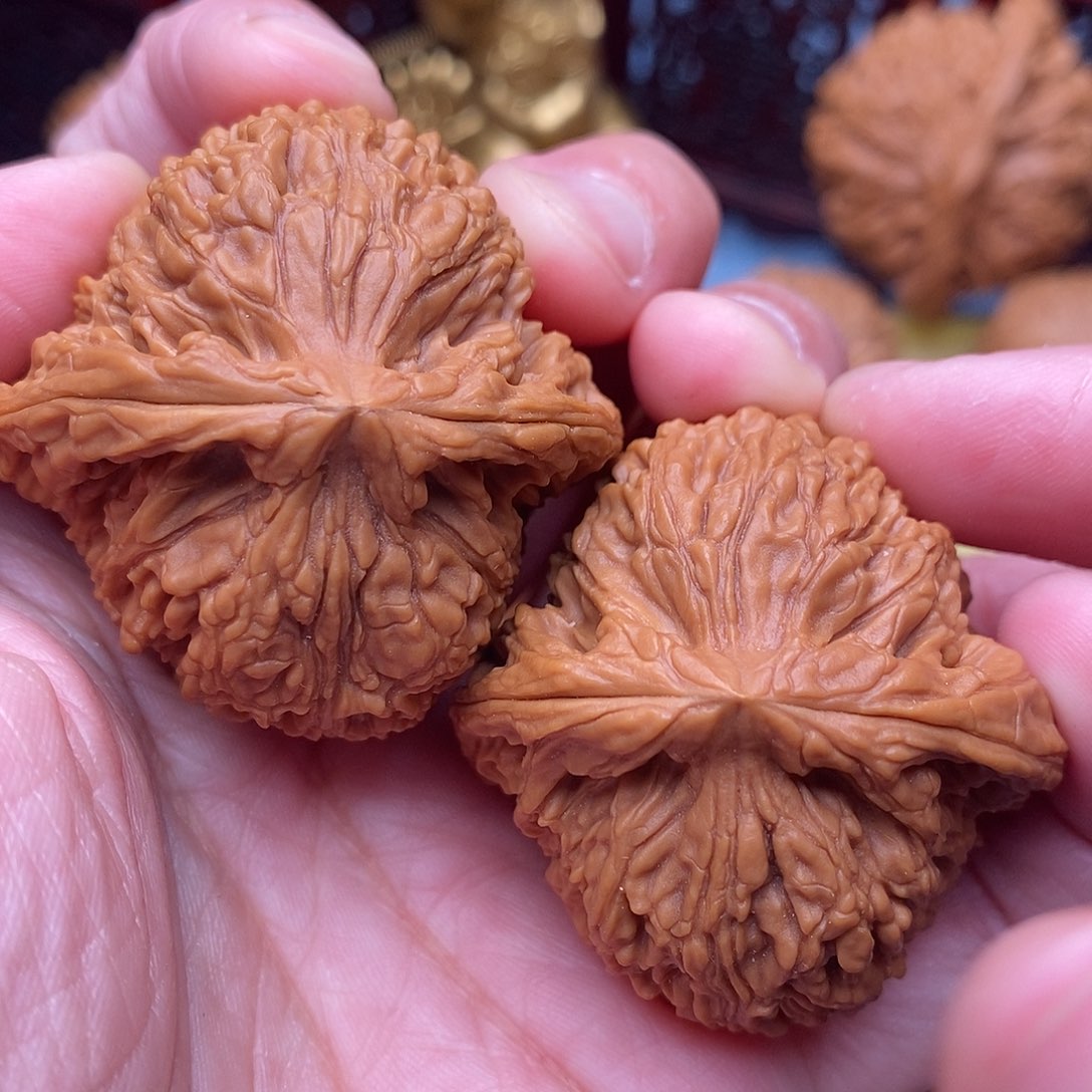 把件文玩核桃毕业全品绝配粗棱南疆石42尺