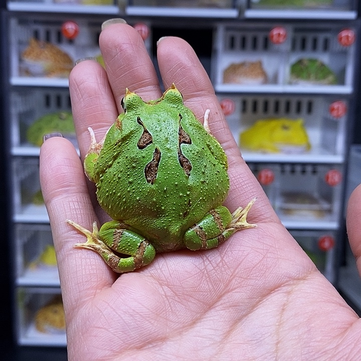 特价秒杀一切顺利