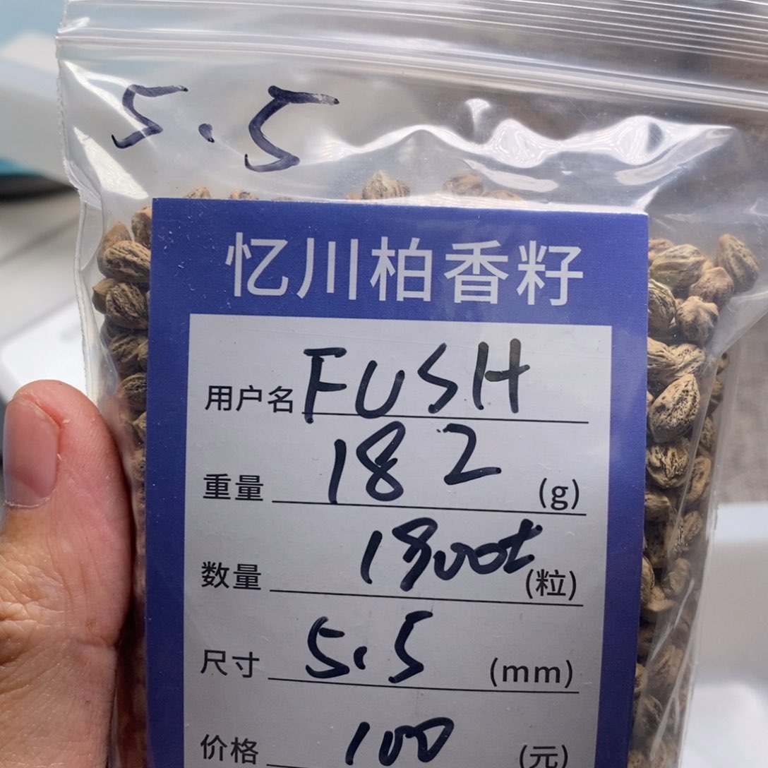 柏香籽/百香籽吊坠F****香