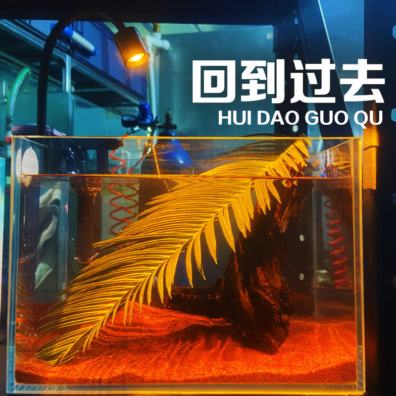 桌面鱼缸带造景超白玻璃办公桌书桌迷你小鱼缸斗鱼观赏鱼缸免换水