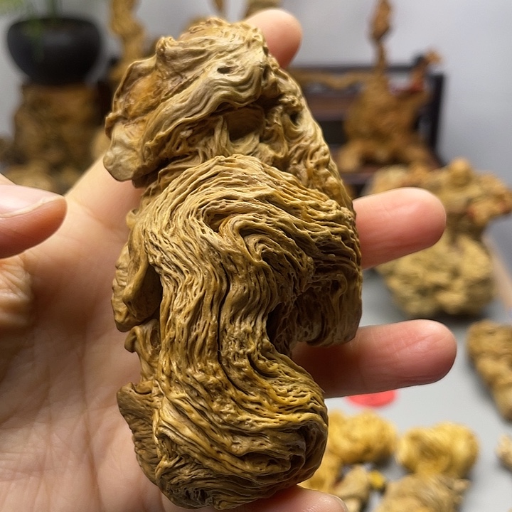 精品降龙木手把件aaa