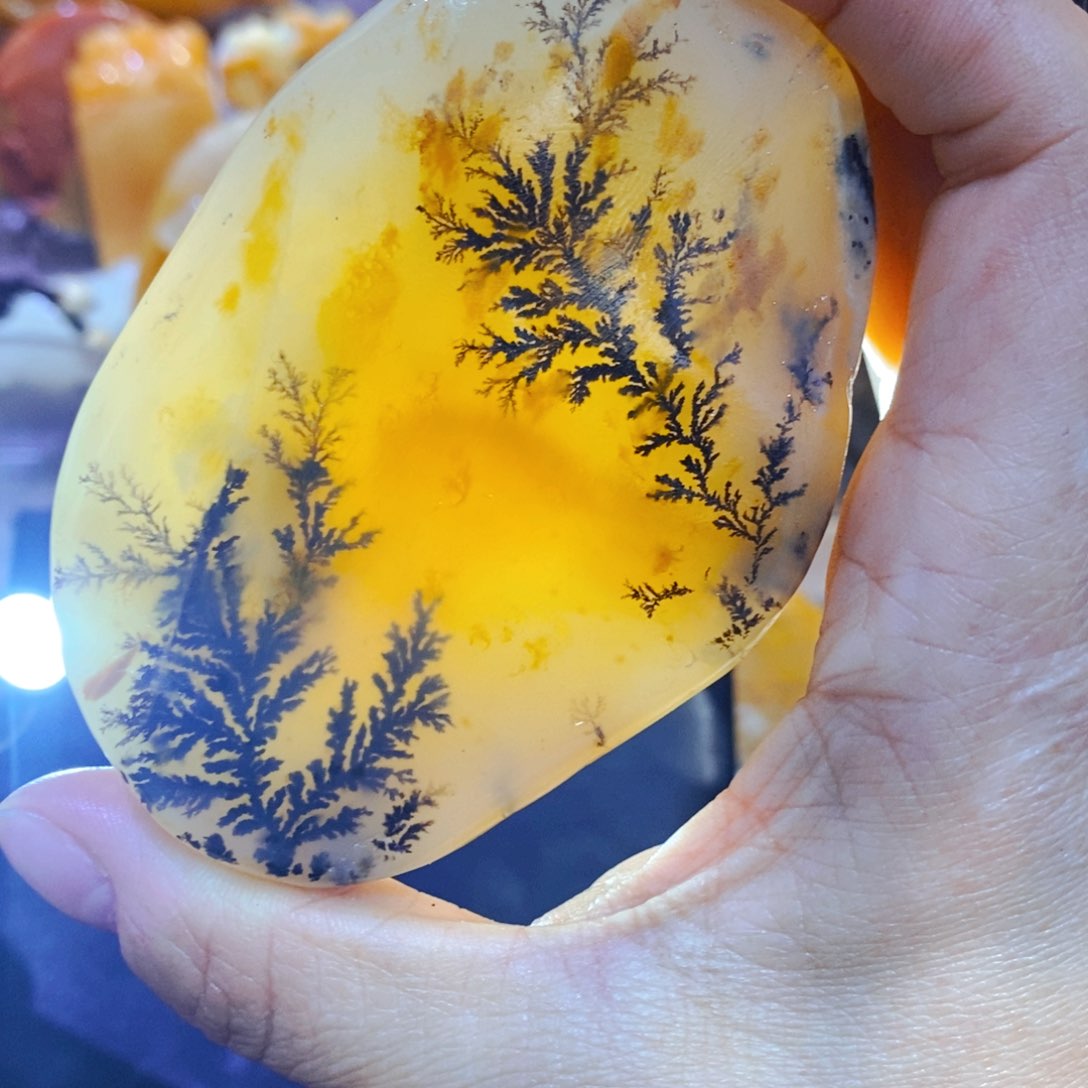 石英质玉颈饰未镶嵌