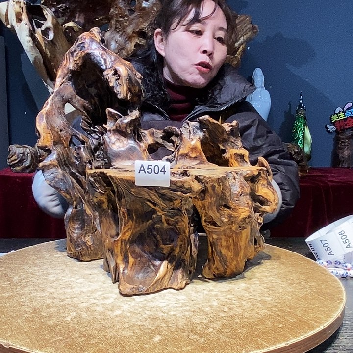 南*客504。株木随行小根艺