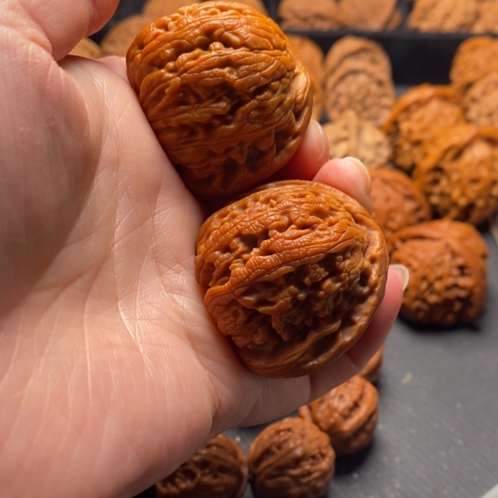 秦岭野生1111111111