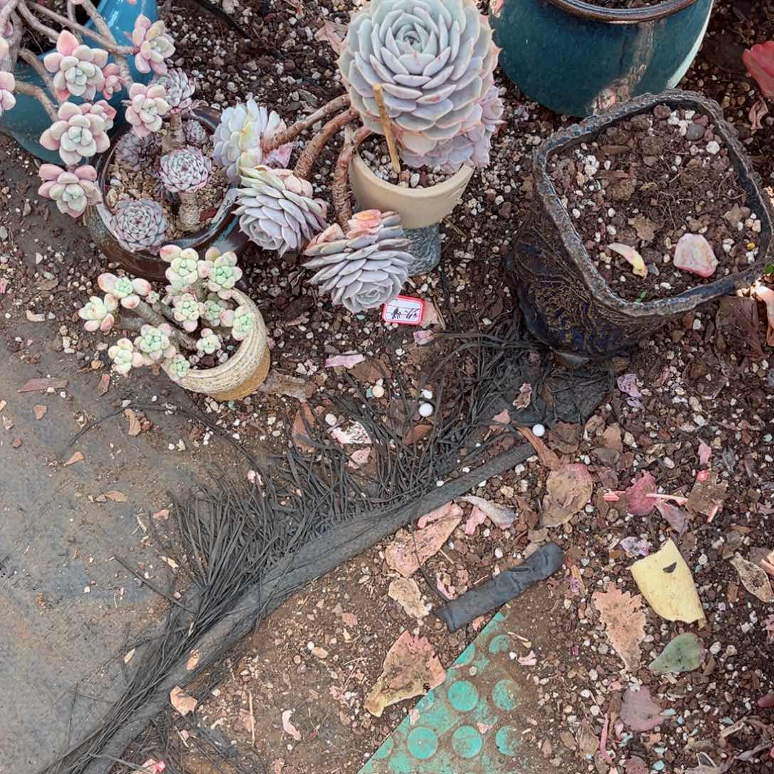 在这里＂我在，我在外面