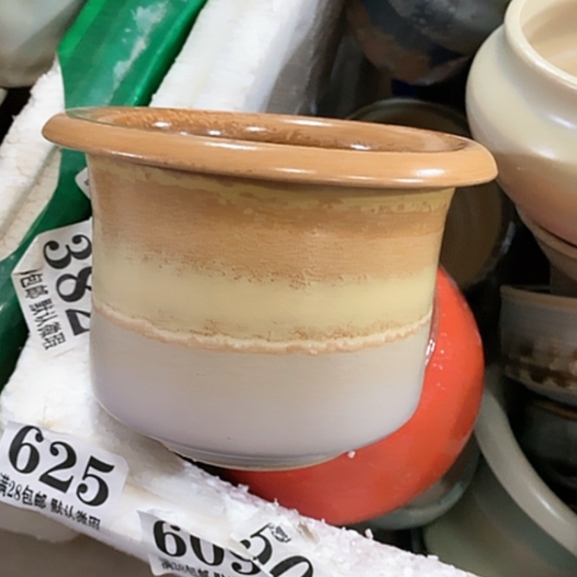 【闪购商品】红陶口9