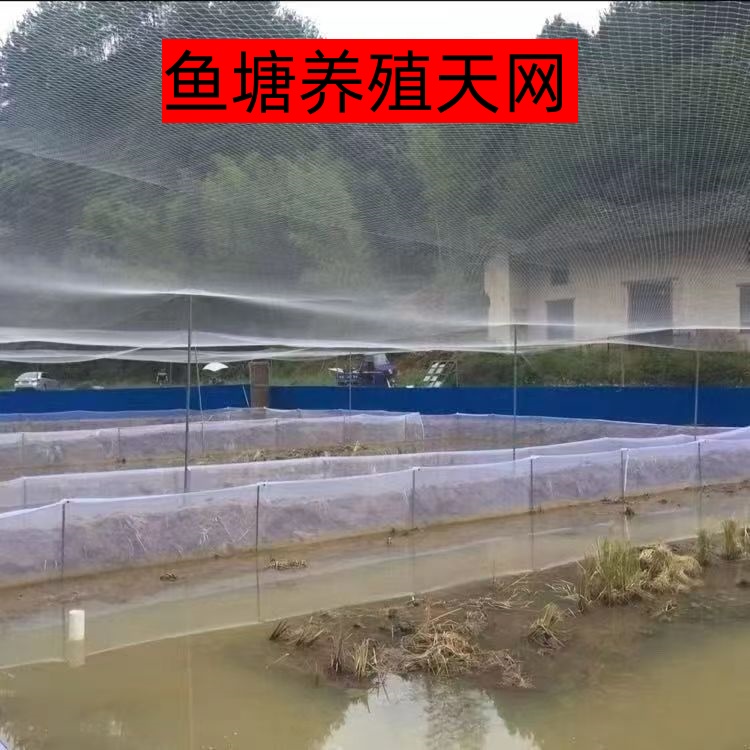 养殖鱼塘防鸟网大网孔鱼塘虾池专用防鸟网抗老化尼龙防鸟罩全罩