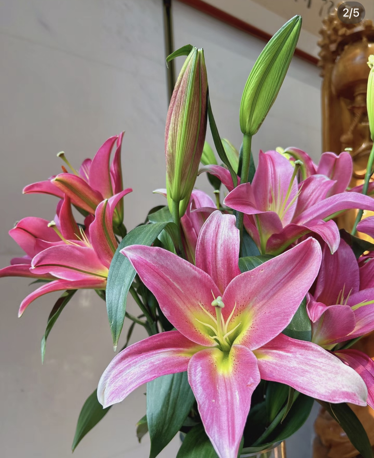 罗宾香水百合 10朵