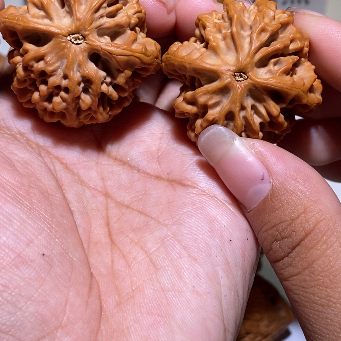 小****核桃手串/手链亲们