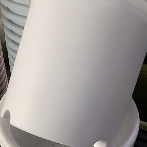 树脂四季6号纯白无托5个