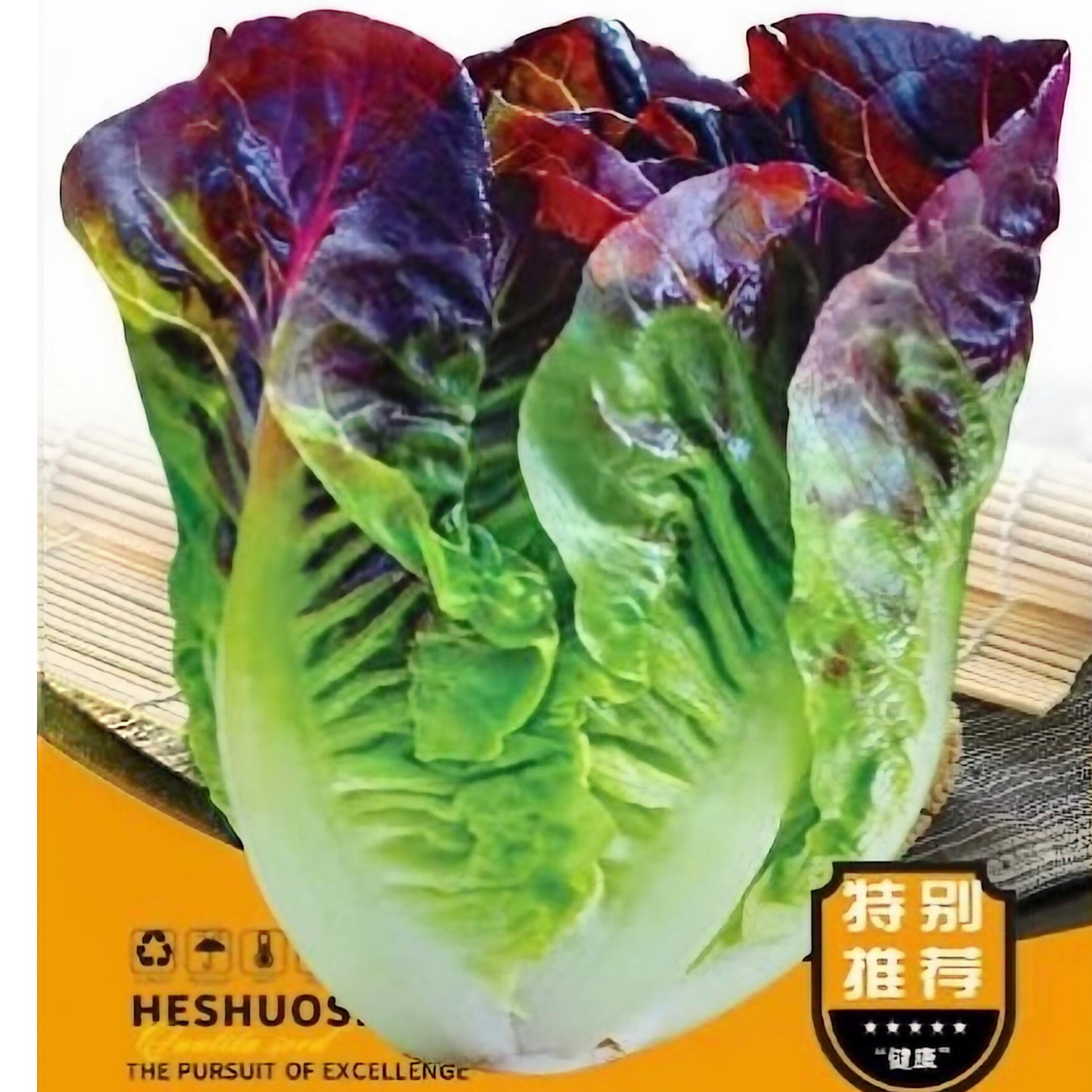 紫色意大利生菜富含花青素甜脆生吃工厂直营新款蔬菜种子（拍2送1）