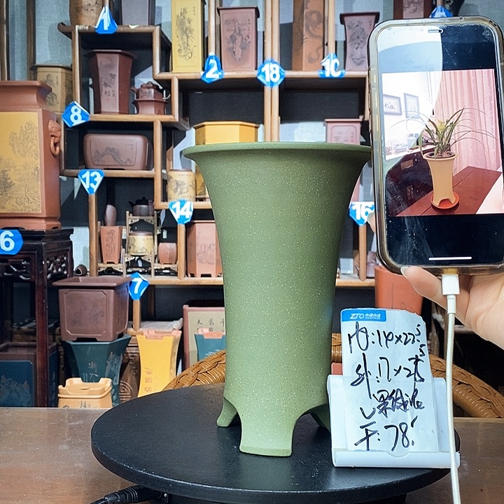 紫砂果绿泥爆款78