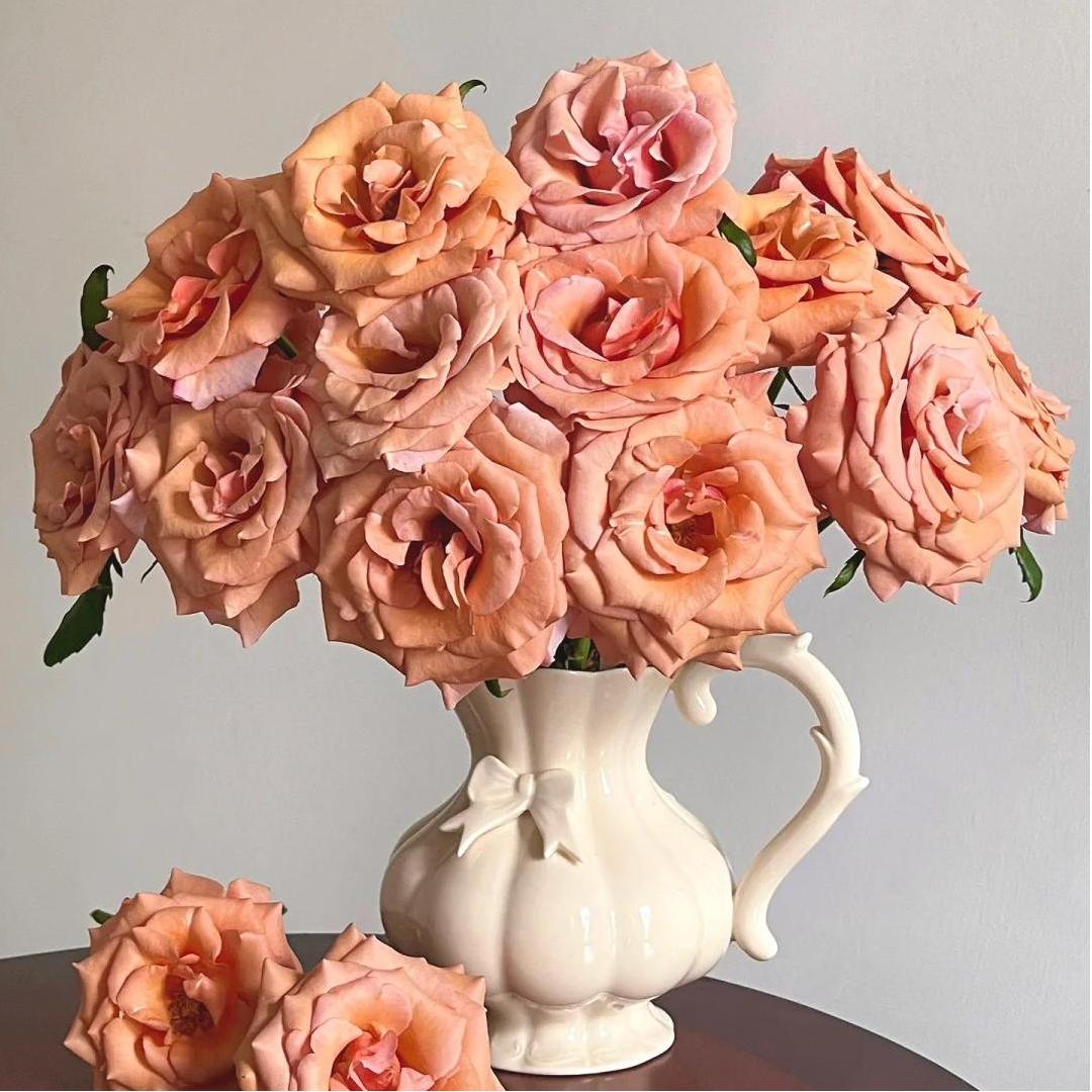 【莫泊玫瑰】斗南鲜花云南直发玫瑰鲜花两单京东冷链包邮